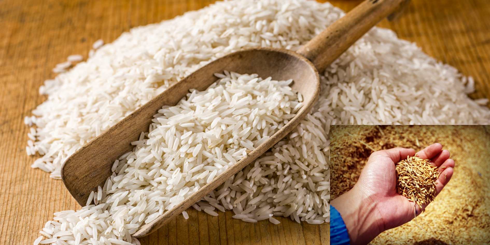 hrenterprenuer_Rice